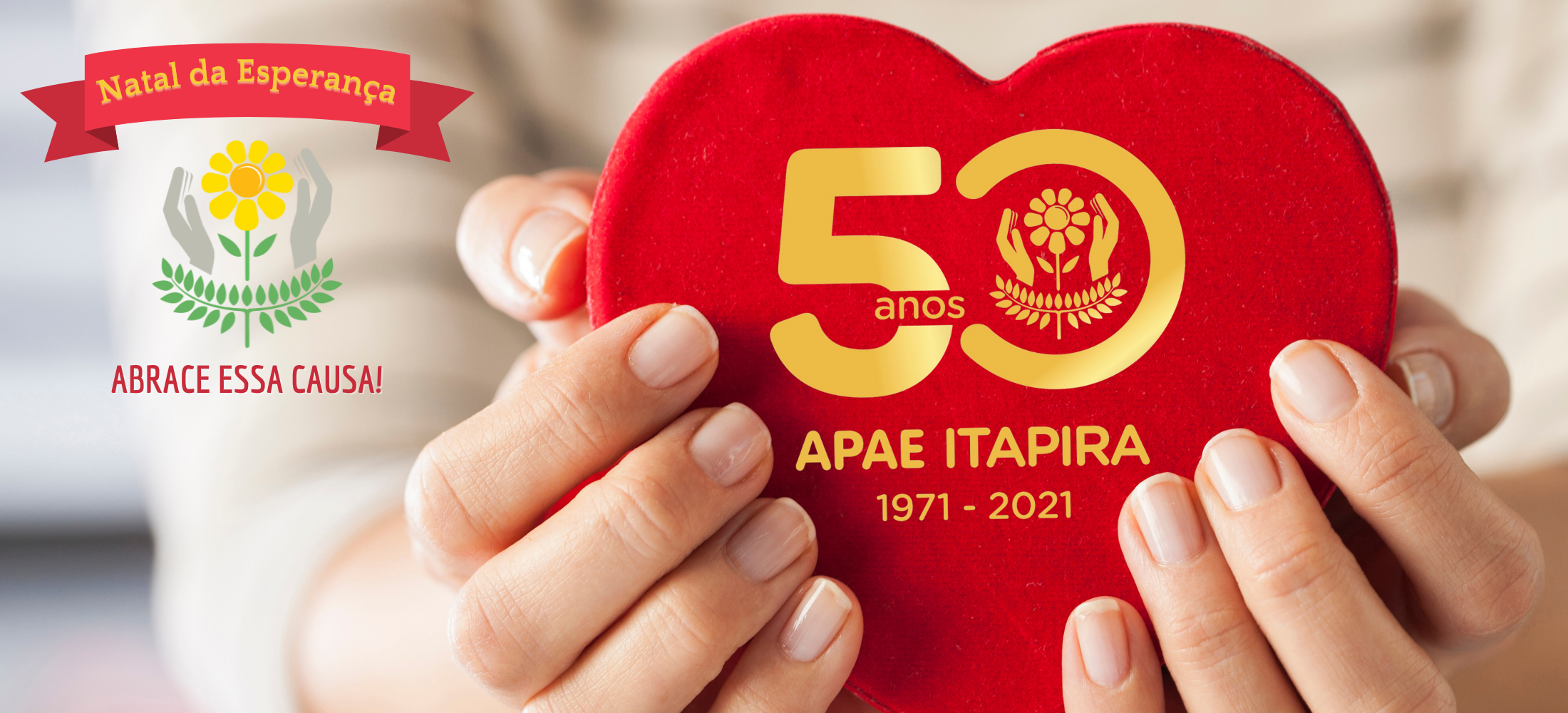 Apae de Itapira